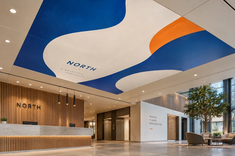 Illustrative ceiling graphics